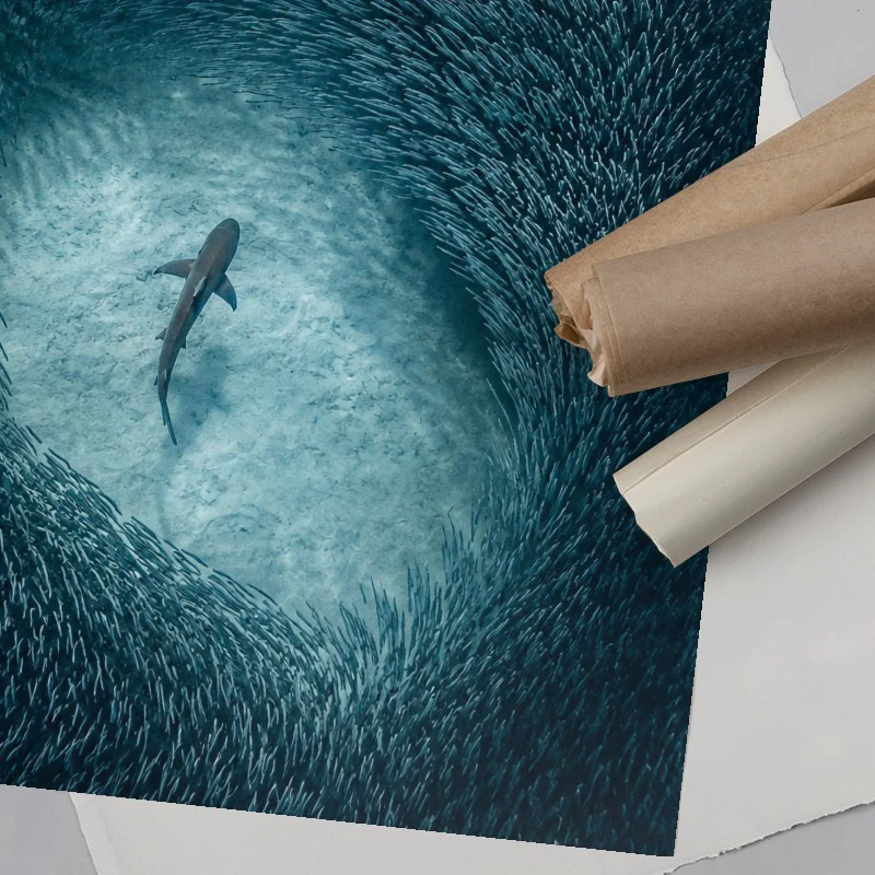 Alone But Powerful - Image 6