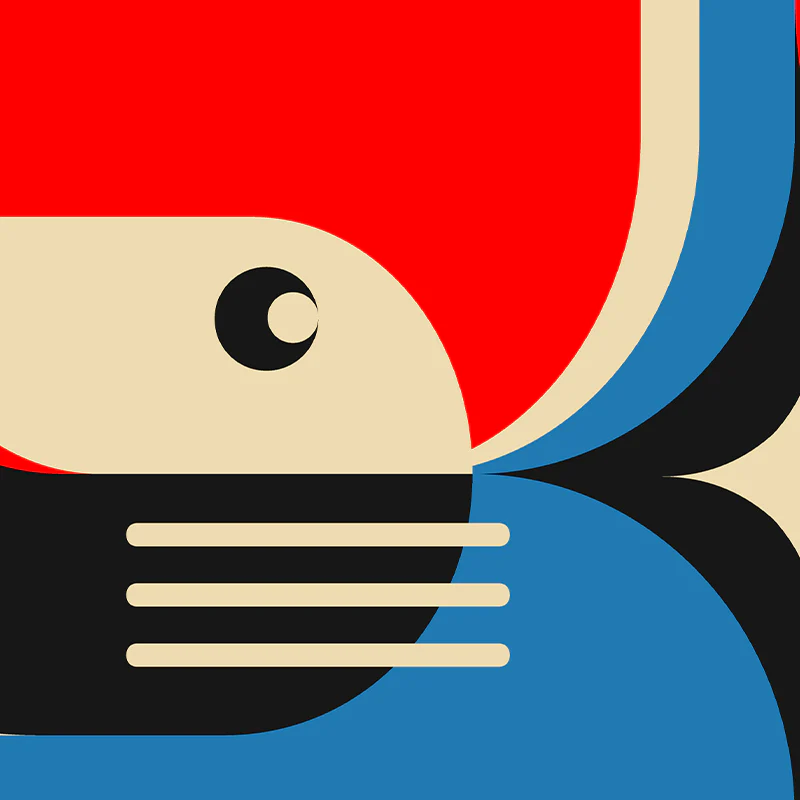 Be Curious - Image 4