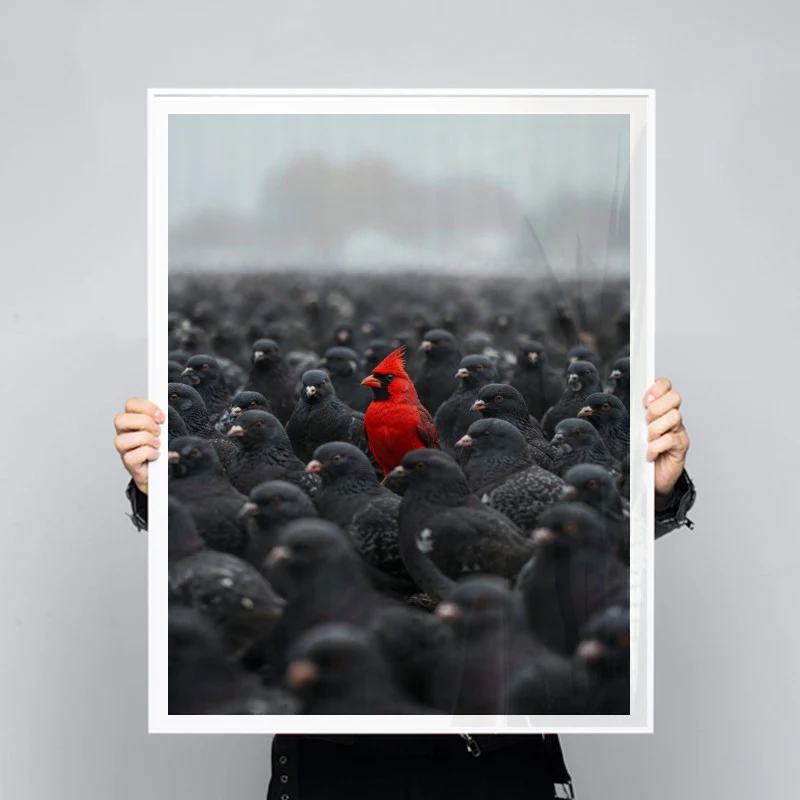 Born To Stand Out - Image 3