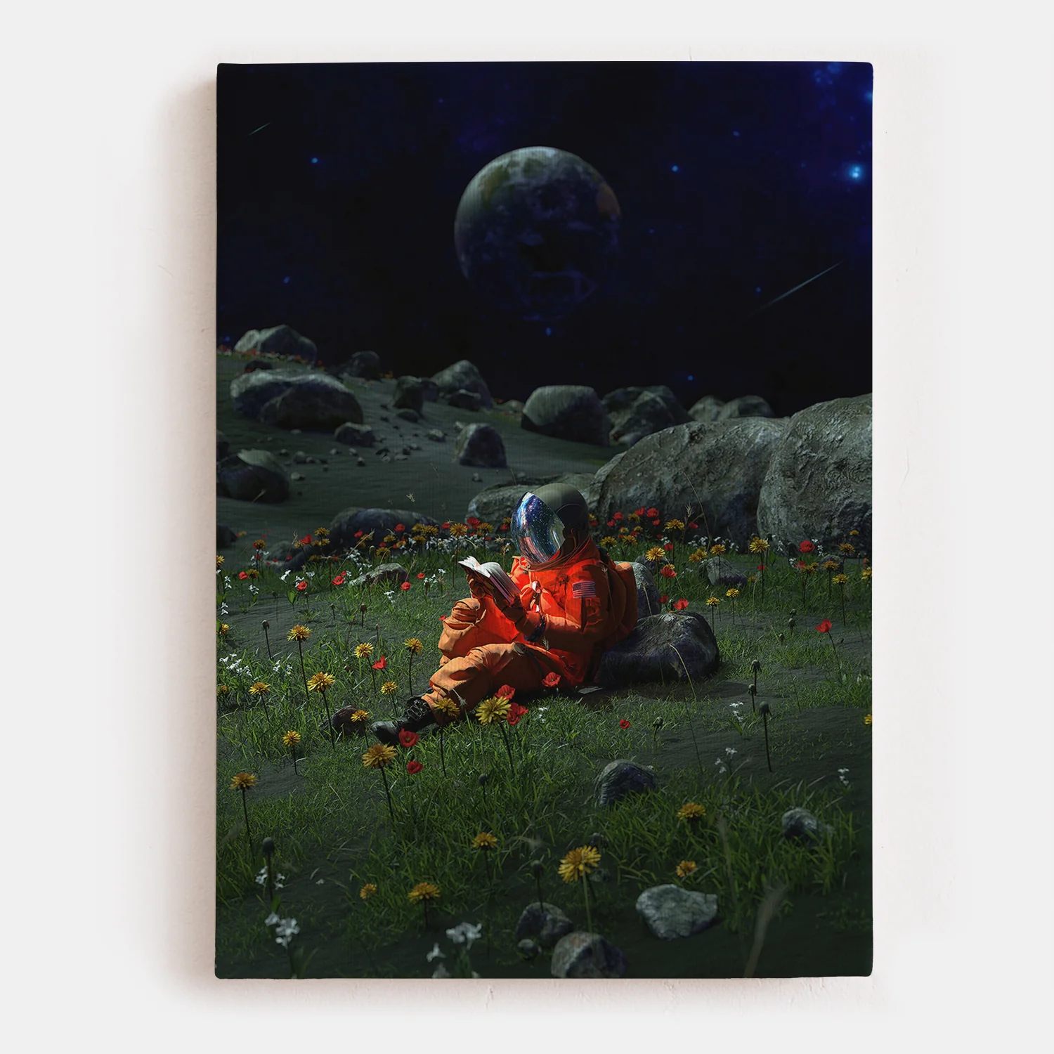 Chapter IX Canvas