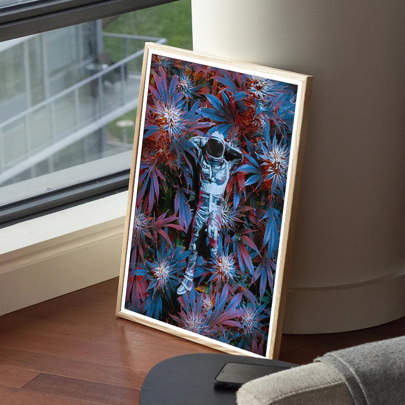Chillout - Image 6