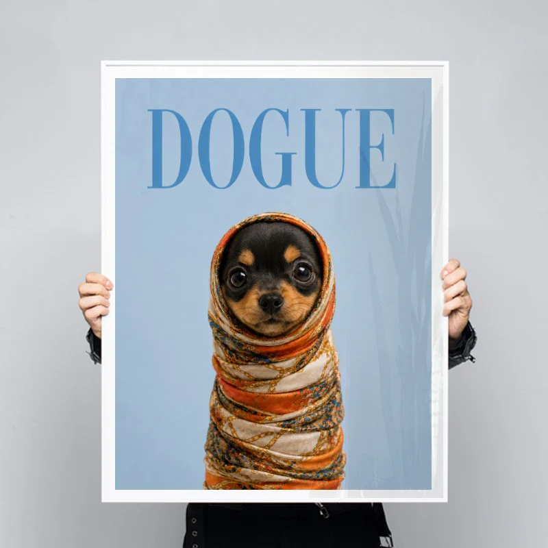 Dogue Dachshund - Image 3