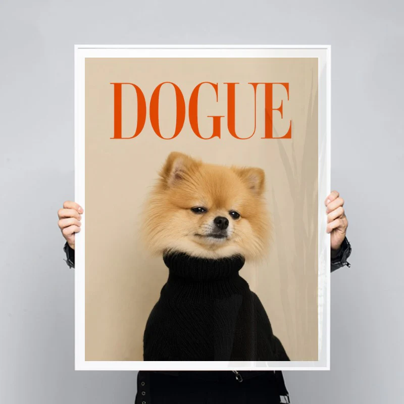 Dogue Pomeranian - Image 3