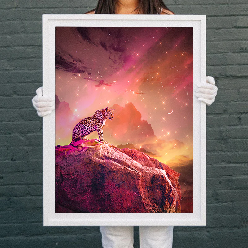 Fire - Image 3