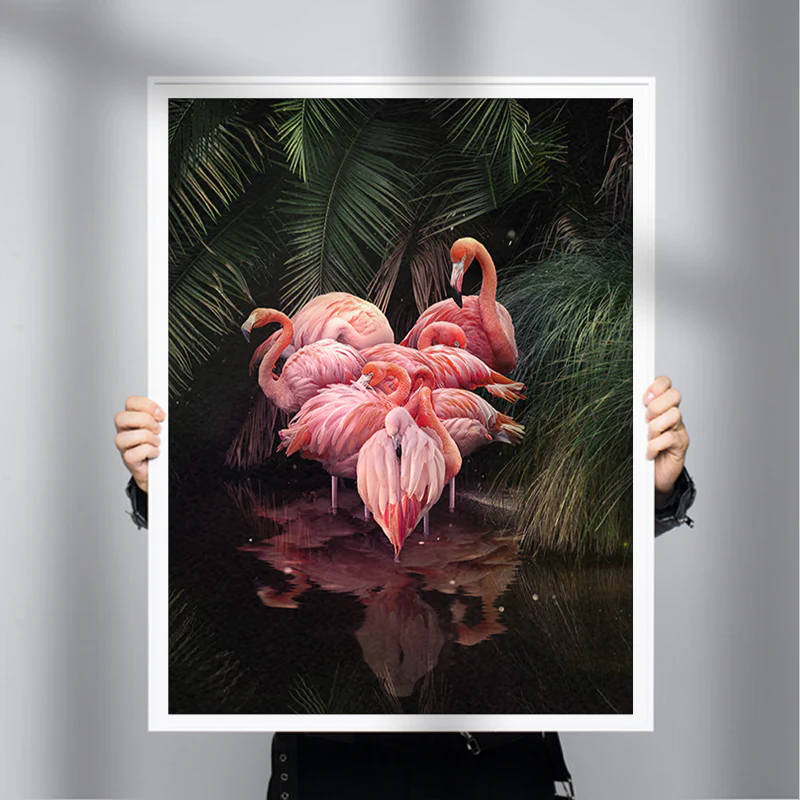 Flovemingo - Image 3