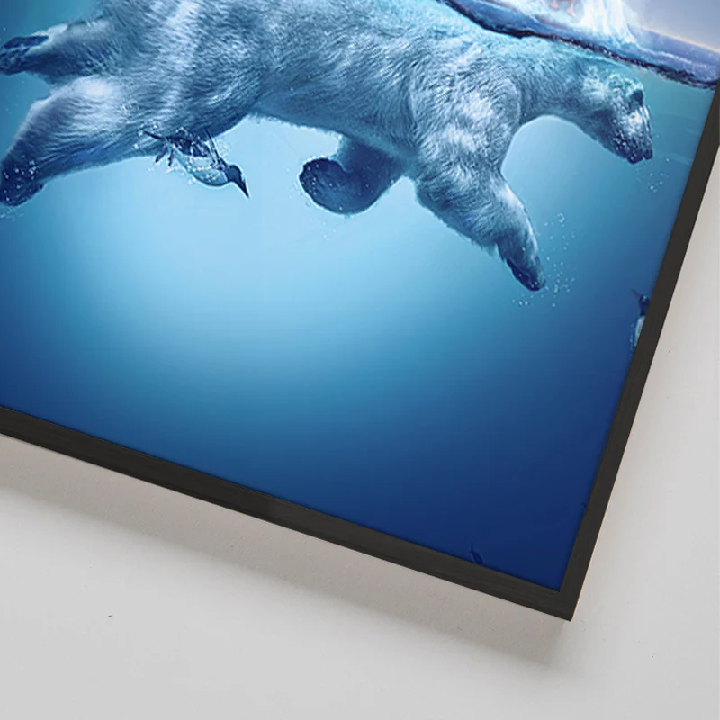 Ice Bearg - Image 5