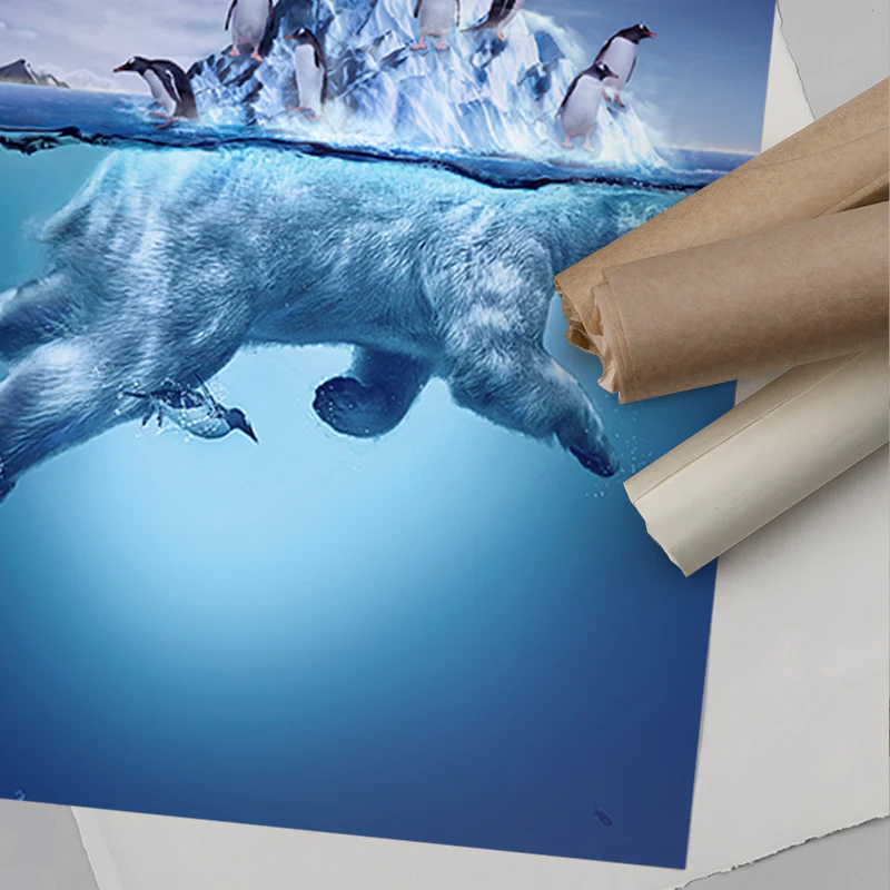 Ice Bearg - Image 8