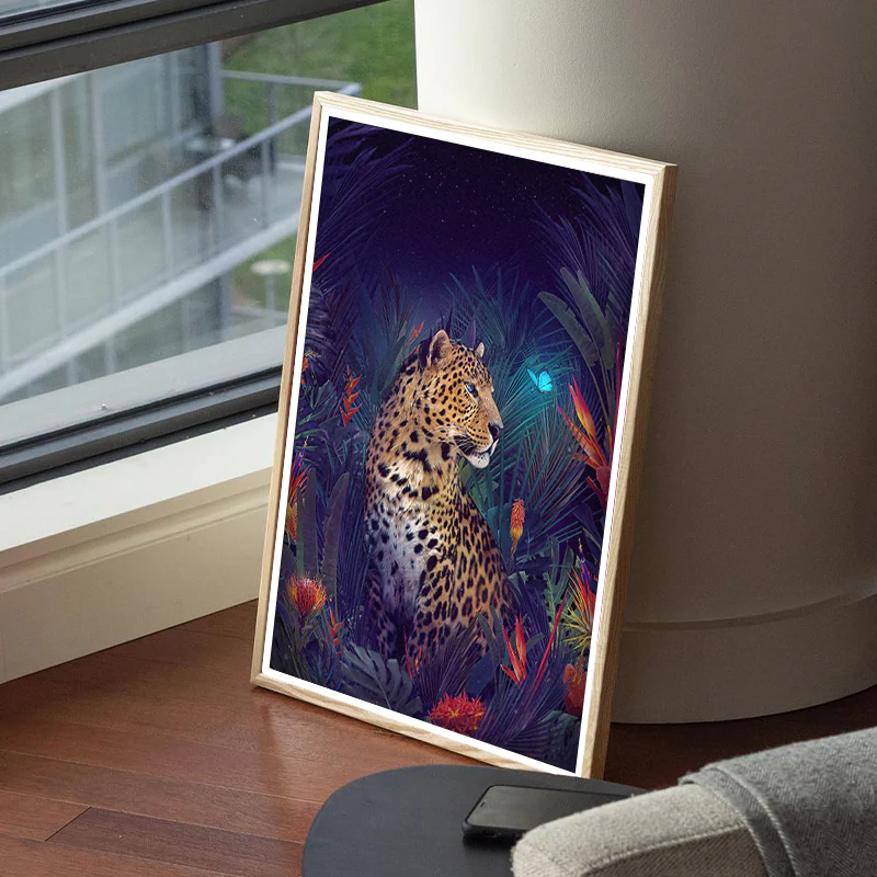 Imagine - Image 5