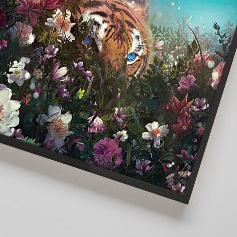 In Hiding - Image 4