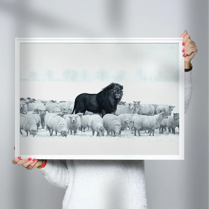 Lion Among Sheep - Image 3
