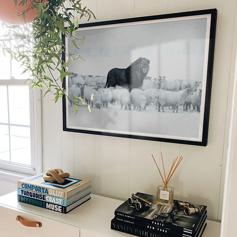Lion Among Sheep - Image 4