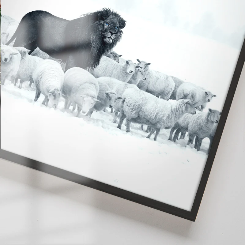 Lion Among Sheep - Image 5