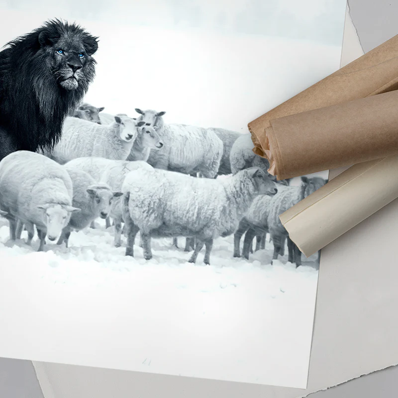Lion Among Sheep - Image 7