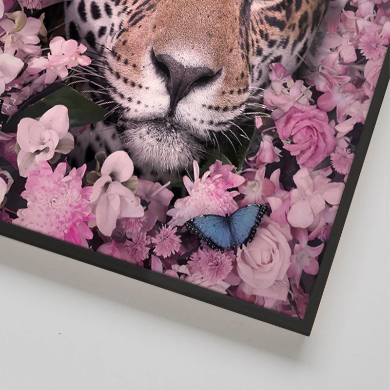 Lovepard - Image 5
