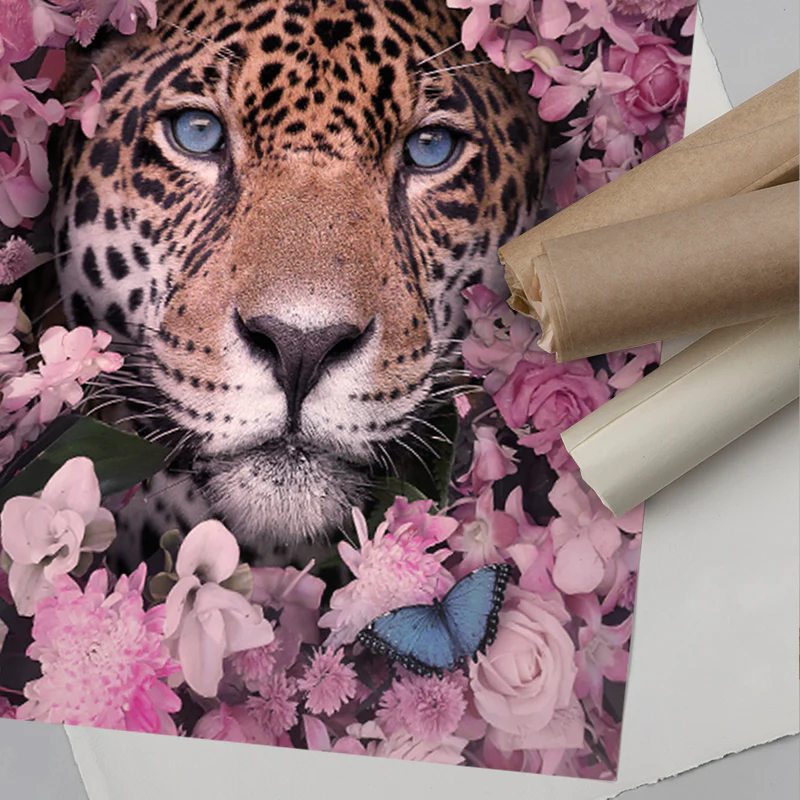 Lovepard - Image 7