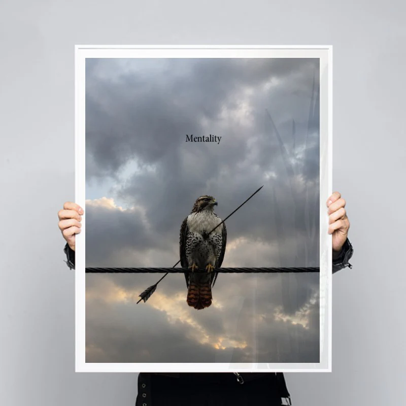 Mentality - Image 3