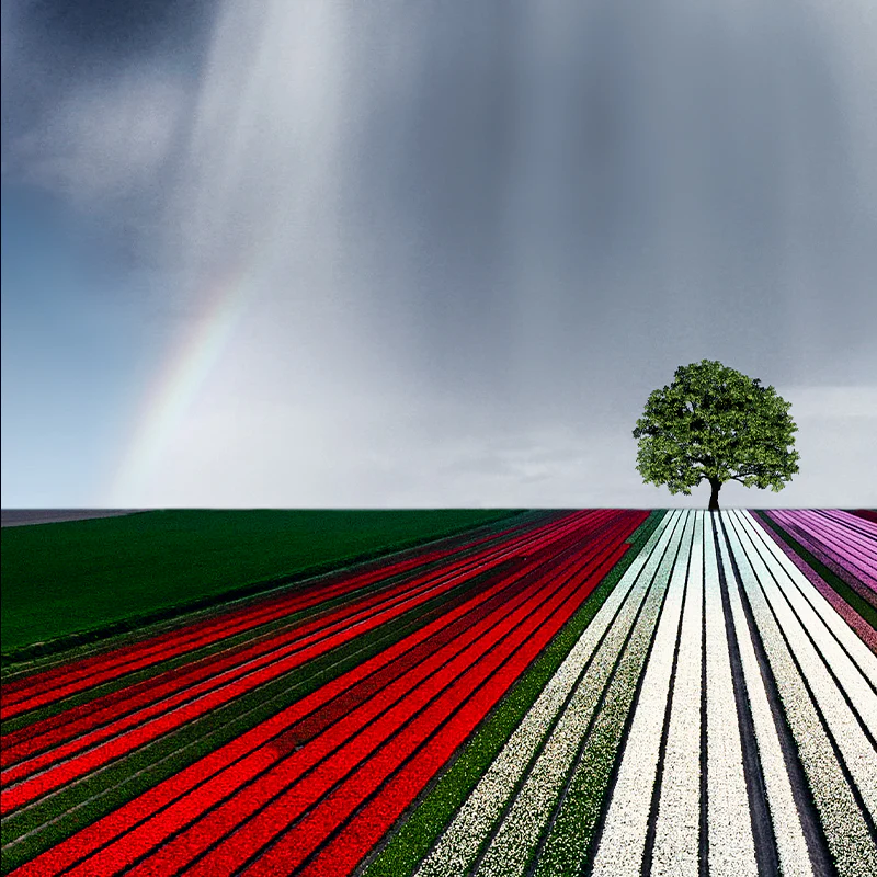Rainbow Cloud - Image 5