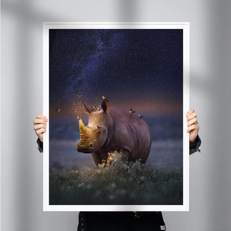 Rhinocorn - Image 3
