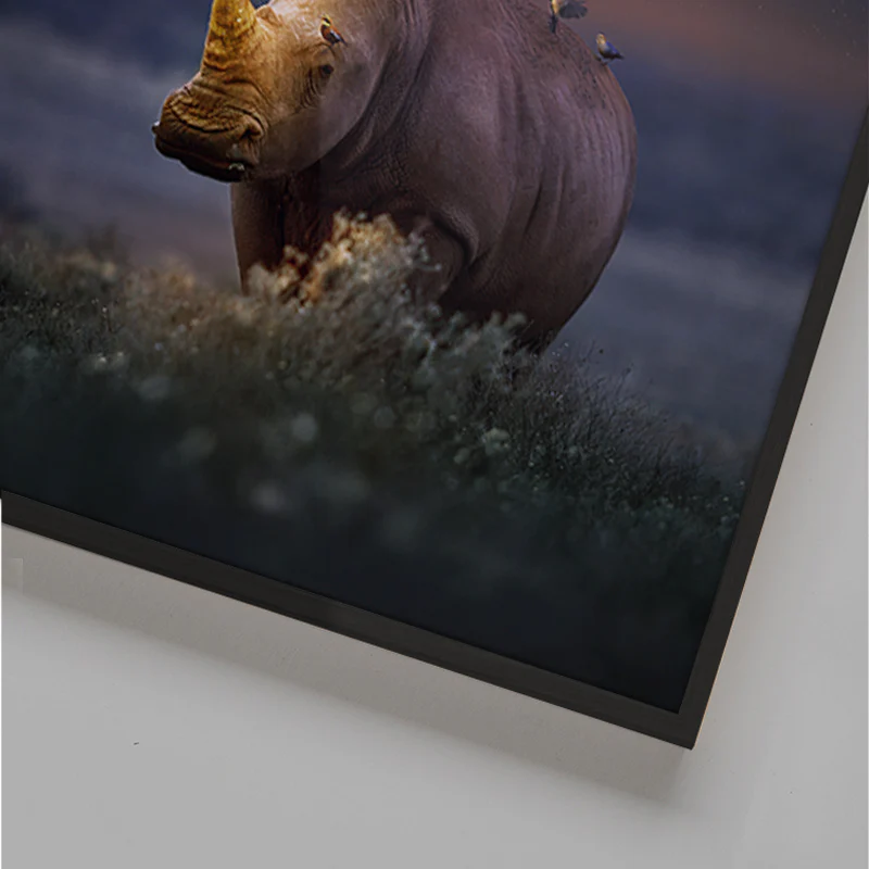 Rhinocorn - Image 5