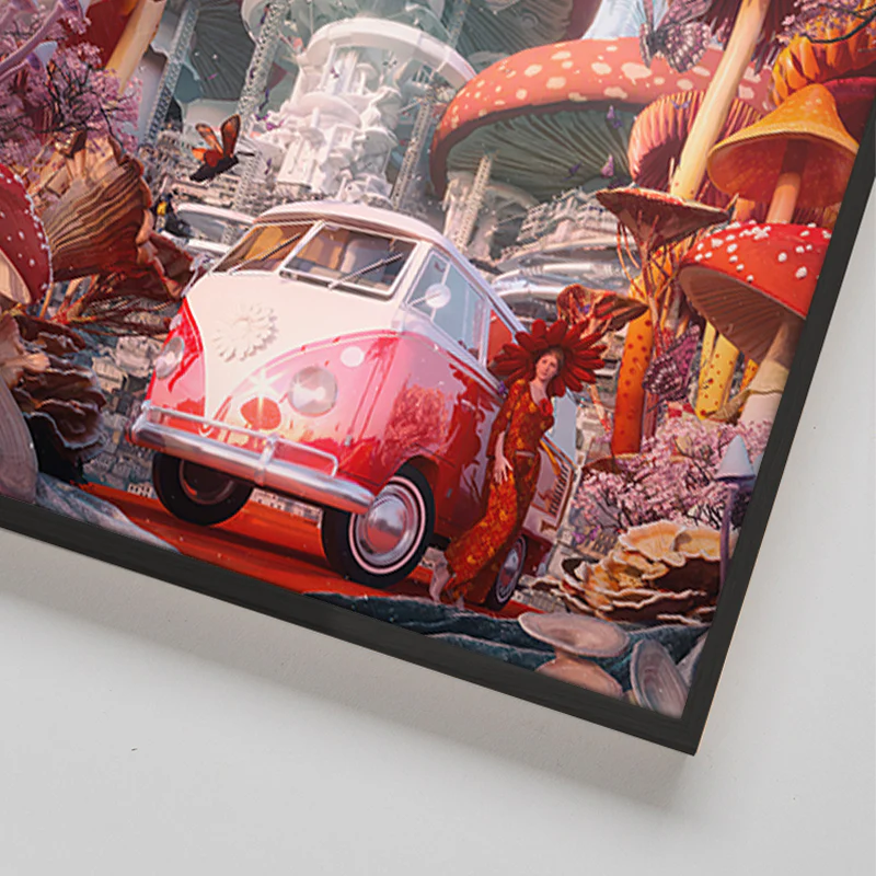 Shroomland Drive - Image 5